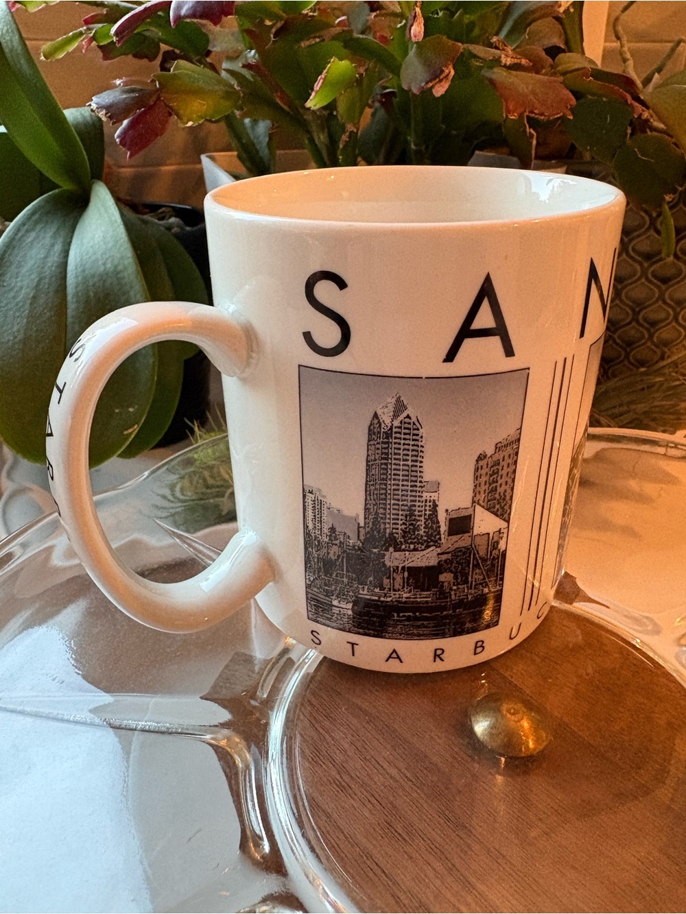 Starbucks City Scenes Series Mug 2003 San Diego CA Zoo City Balboa Coronado